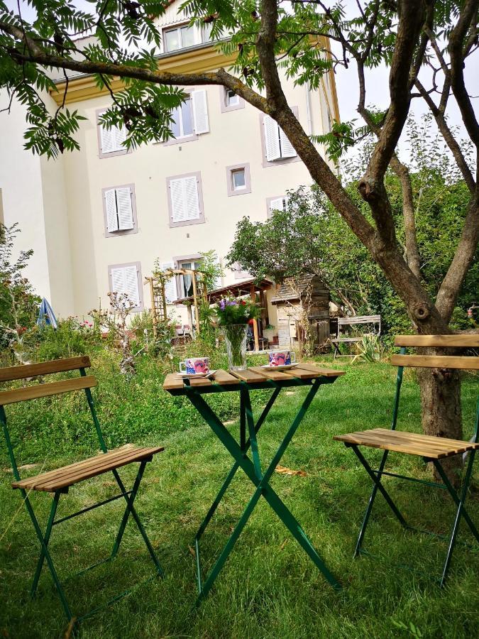 Combles & Vous Apartment Колмар Екстериор снимка
