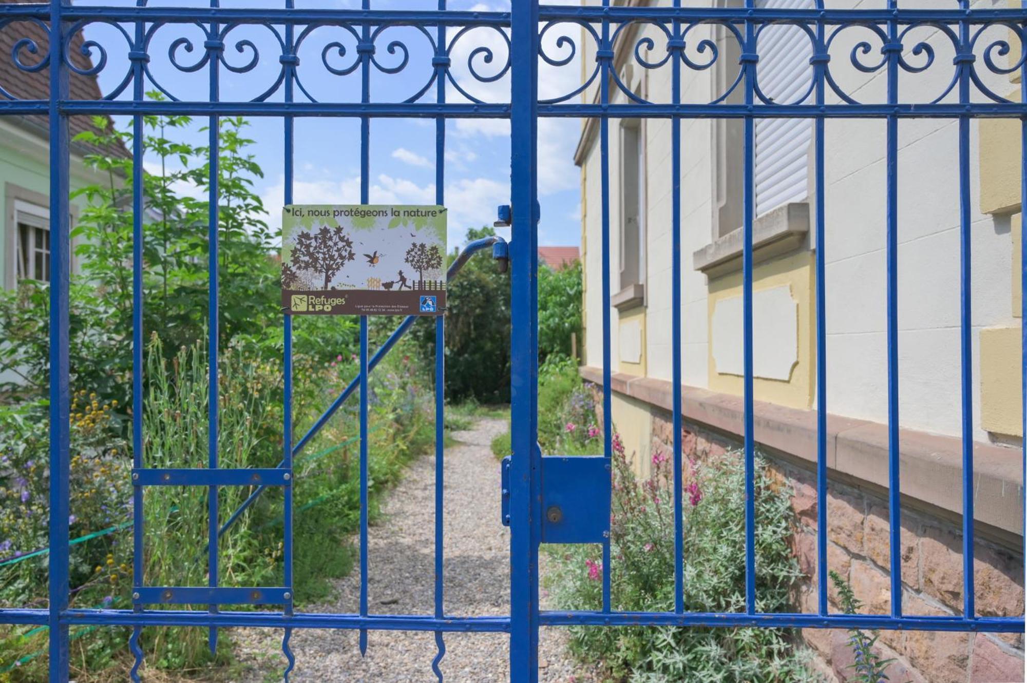 Combles & Vous Apartment Колмар Екстериор снимка
