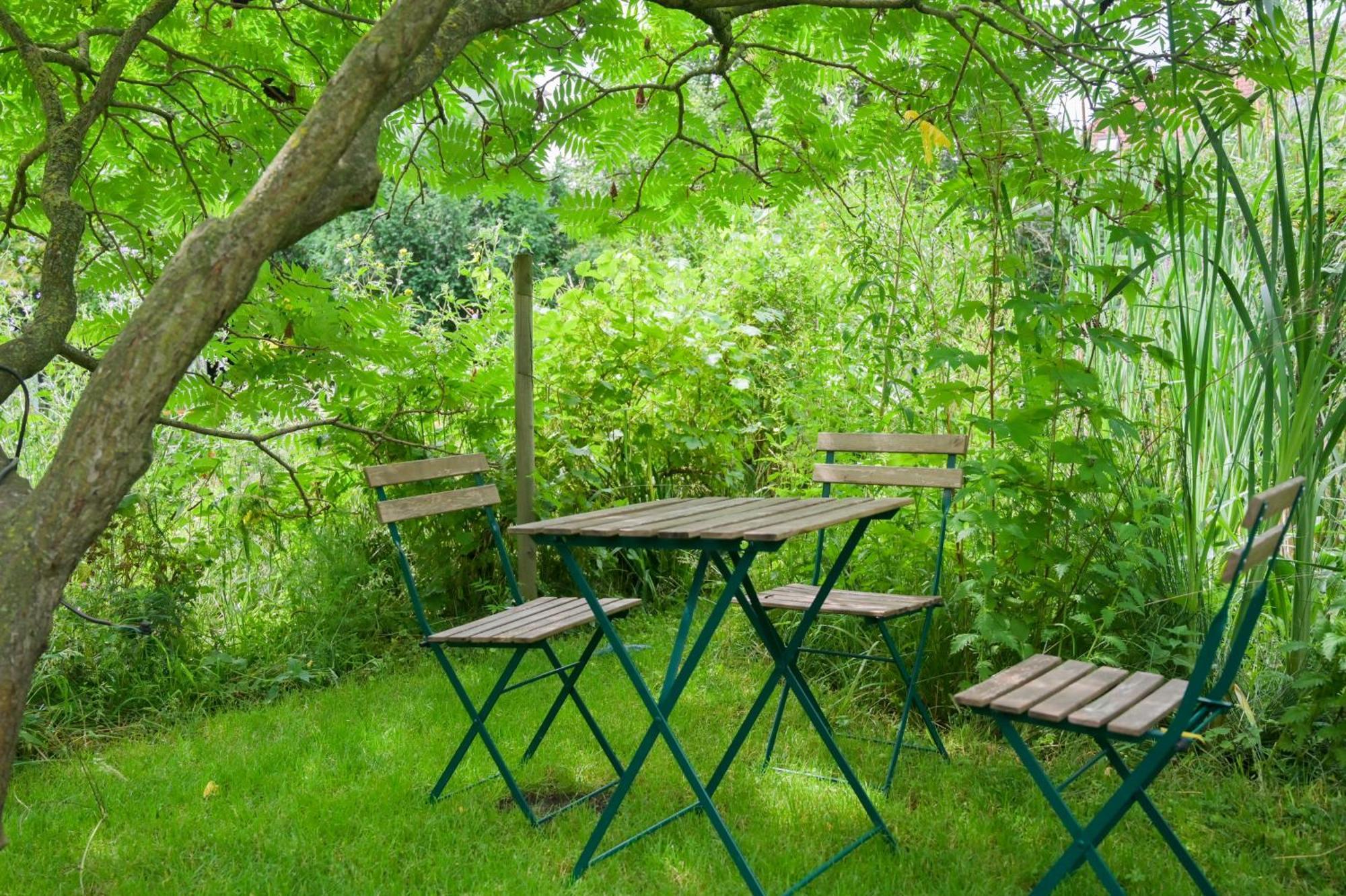 Combles & Vous Apartment Колмар Екстериор снимка